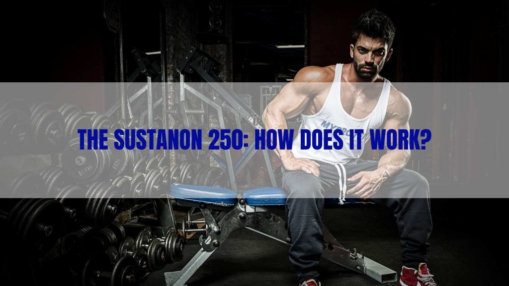 Sustanon  how it work