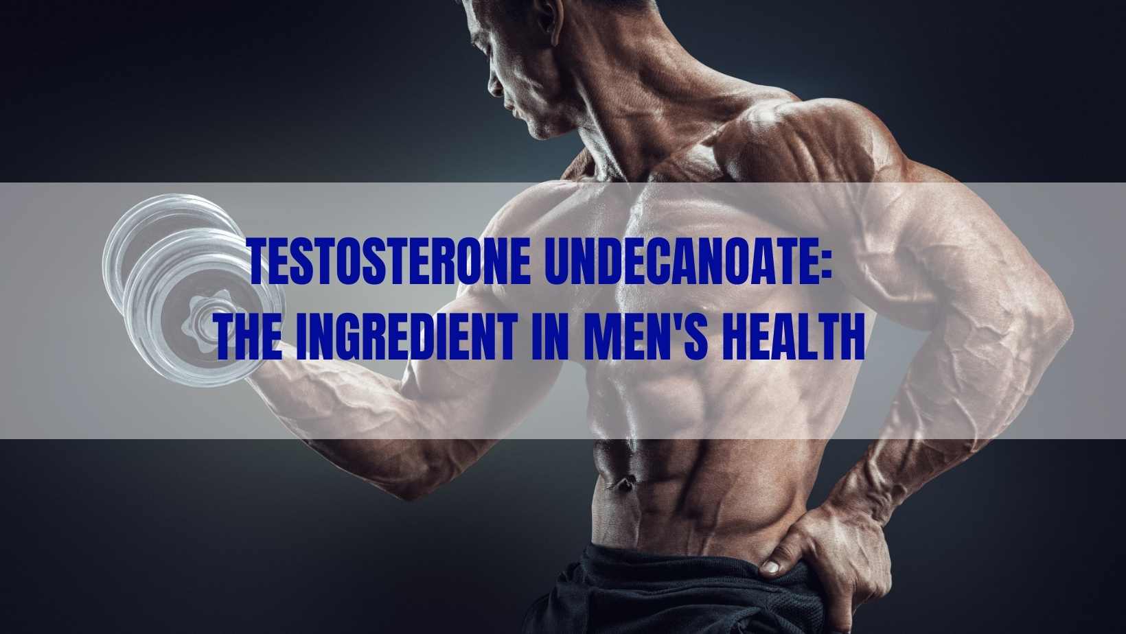 Testosterone Undecanoate ingredients