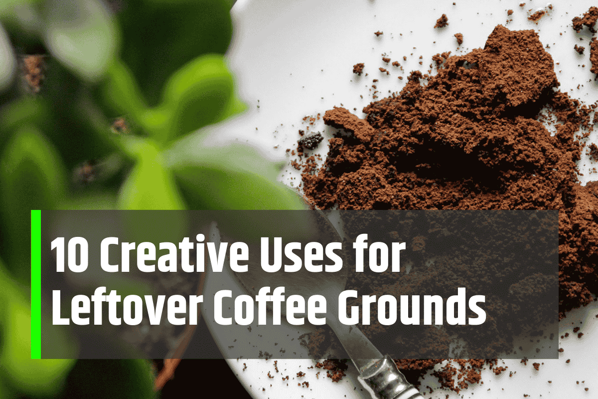 10 Creative Uses for Leftover Coffee Grounds