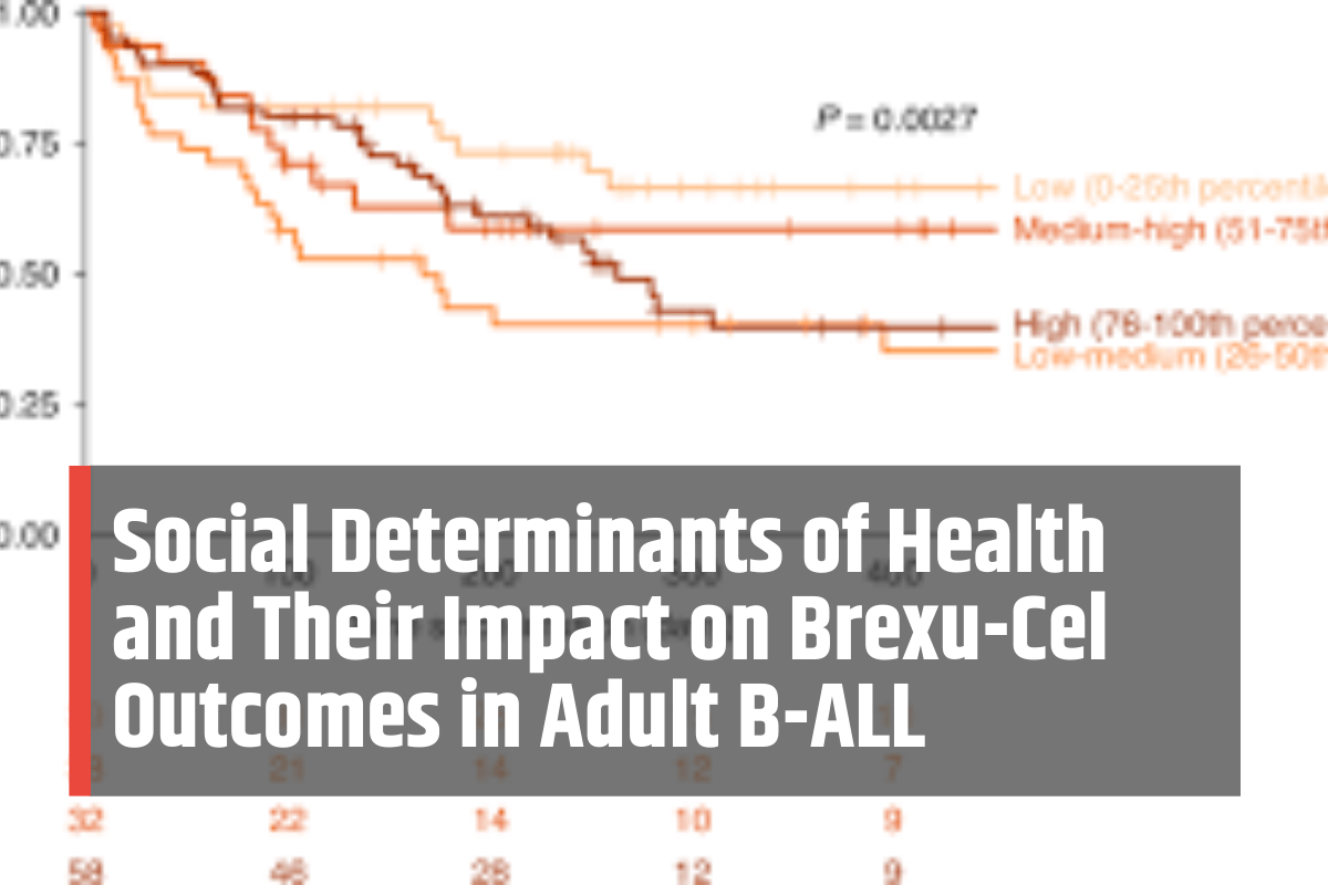 Social Determinants of Health and Their Impact on Brexu-Cel Outcomes in Adult B-ALL