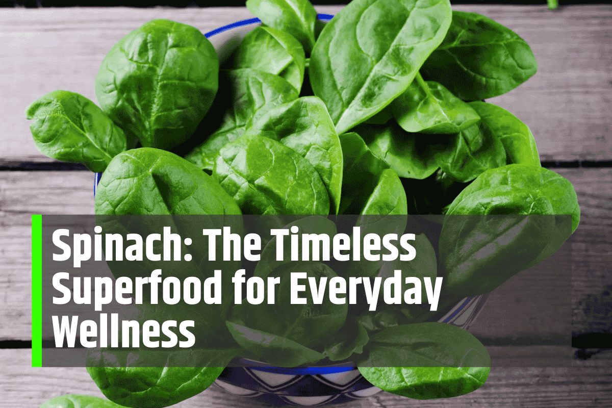 Spinach: The Timeless Superfood for Everyday Wellness