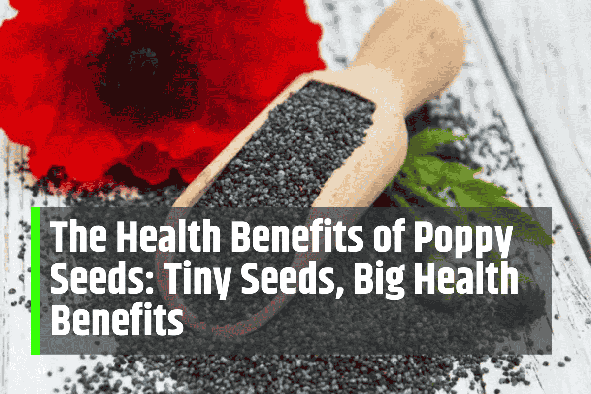 The Health Benefits of Poppy Seeds: Tiny Seeds, Big Health Benefits